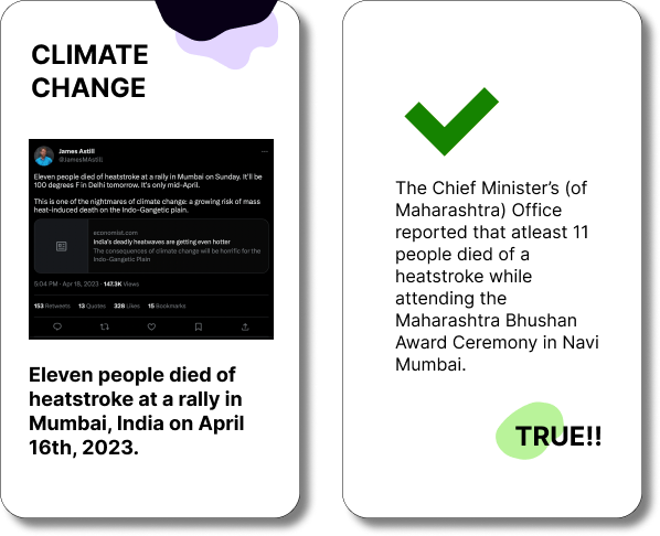 Final card designs showing true and false examples